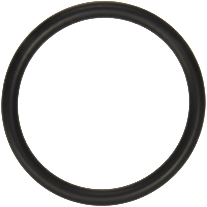Hayward Strainer O-Ring for PowerFlo Matrix Pumps W3SP1592 W3SP15932S | SPX5500K
