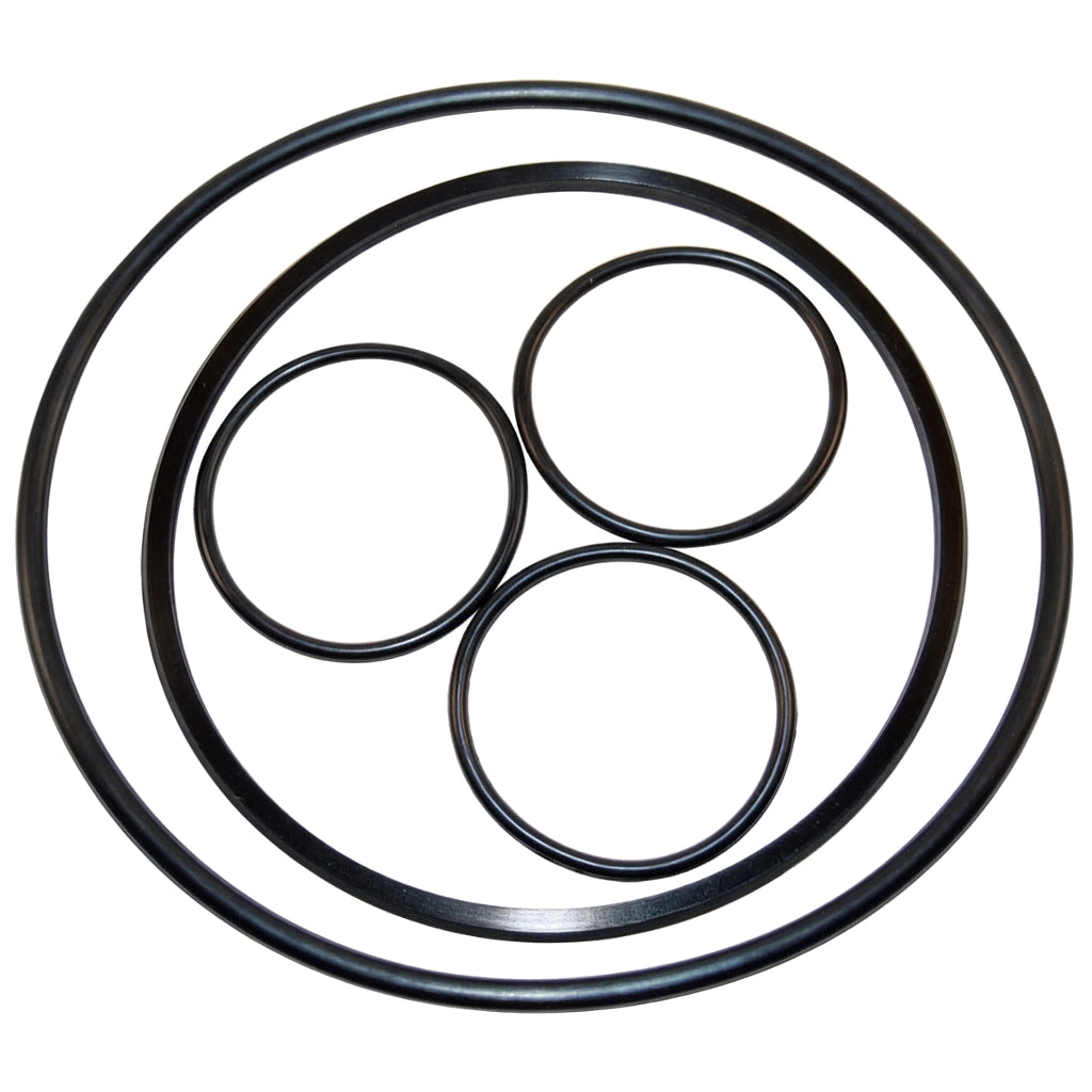 Hayward Valve O-Ring Kit | VLX4004A