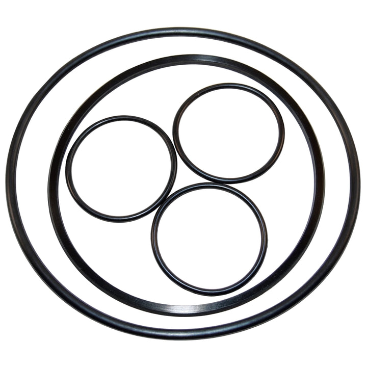 Hayward Valve O-Ring Kit | VLX4004A