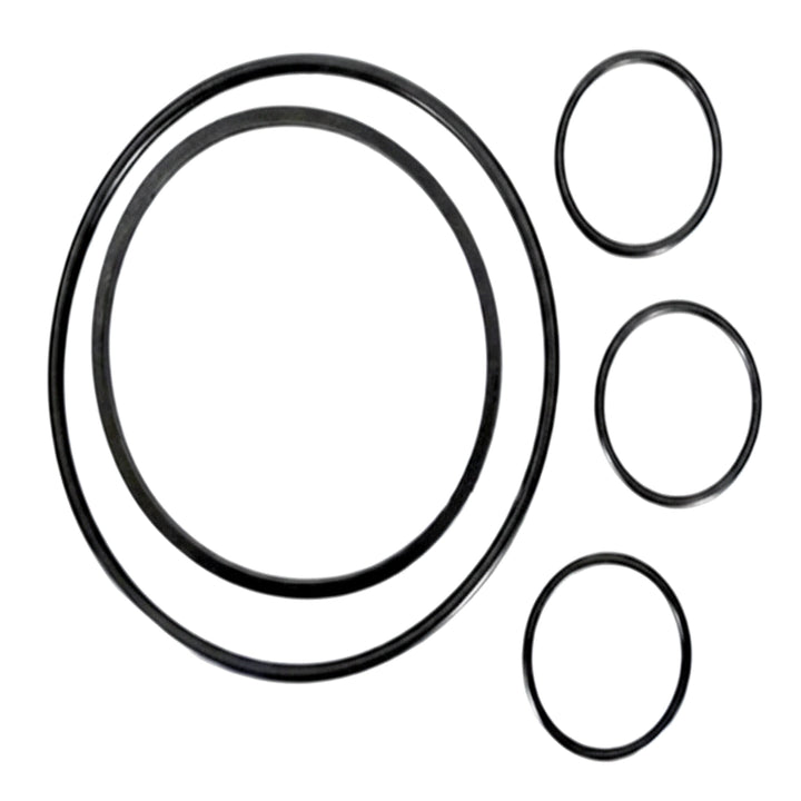 Hayward Valve O-Ring Kit | VLX4004A