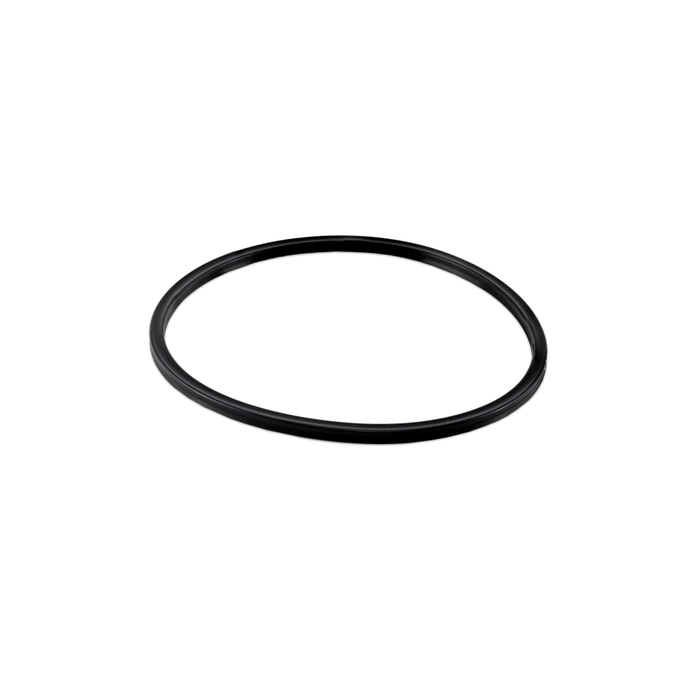 Hayward Viton Cover O-Ring | CLX200K
