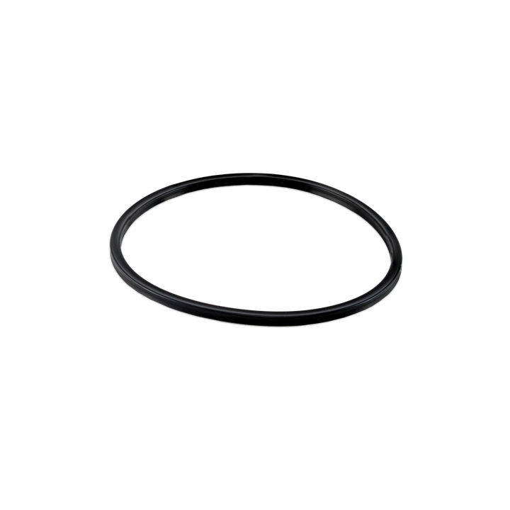 Hayward Viton Cover O-Ring | CLX200K