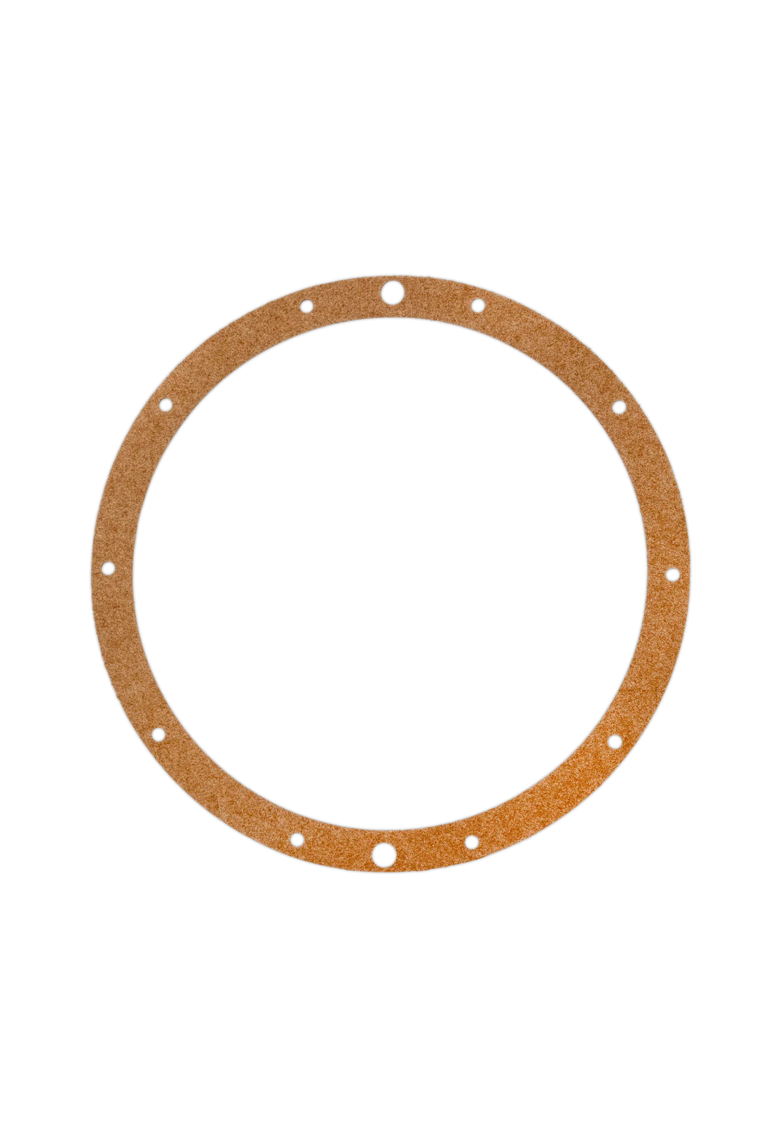 Hayward Underwater Light Gasket | SPX0506D