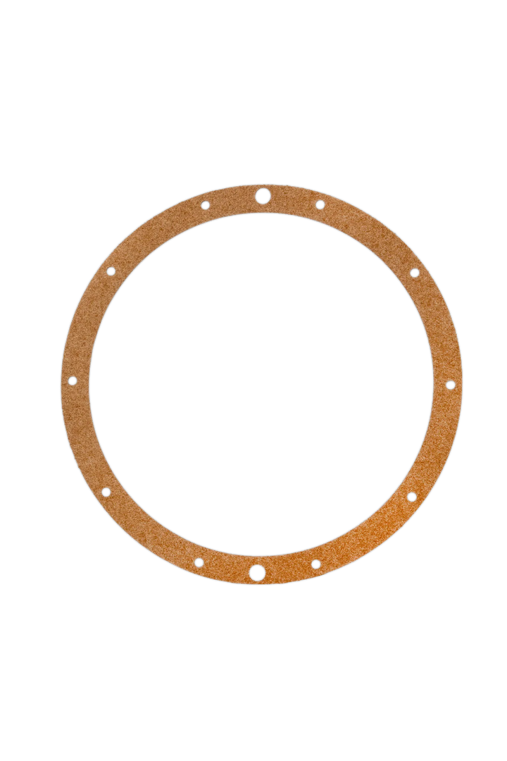 Hayward Underwater Light Gasket | SPX0506D
