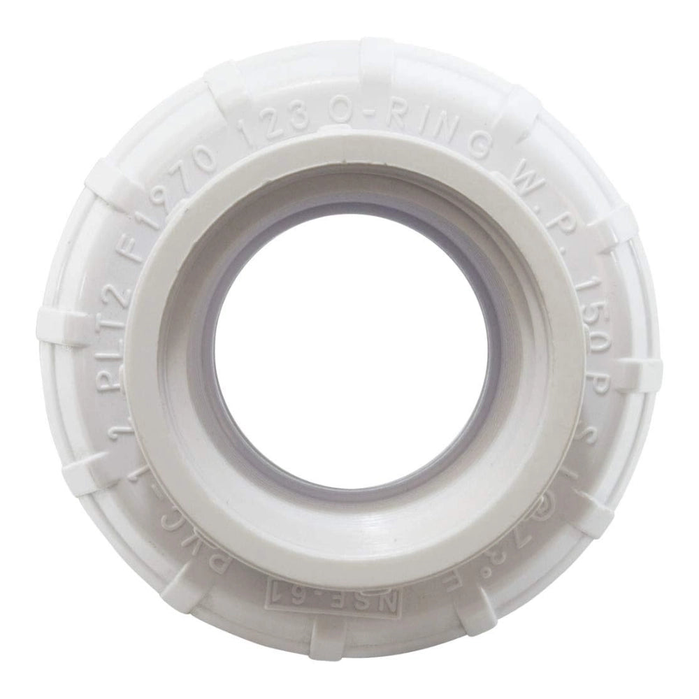 Pentair 1 in. Threaded Union | High Capacity Automatic Feeder | R270531