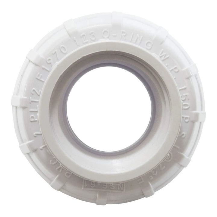 Pentair 1 in. Threaded Union | High Capacity Automatic Feeder | R270531