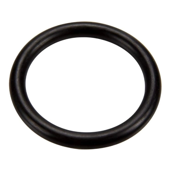 Pentair O-Ring 1-1/2" I.D. x 3/16" Dia. | Slide Valve | 273090Z