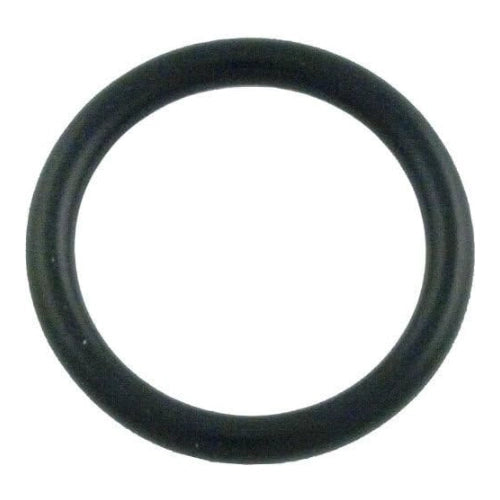 Pentair O-Ring 1-1/2" I.D. x 3/16" Dia. | Slide Valve | 273090Z