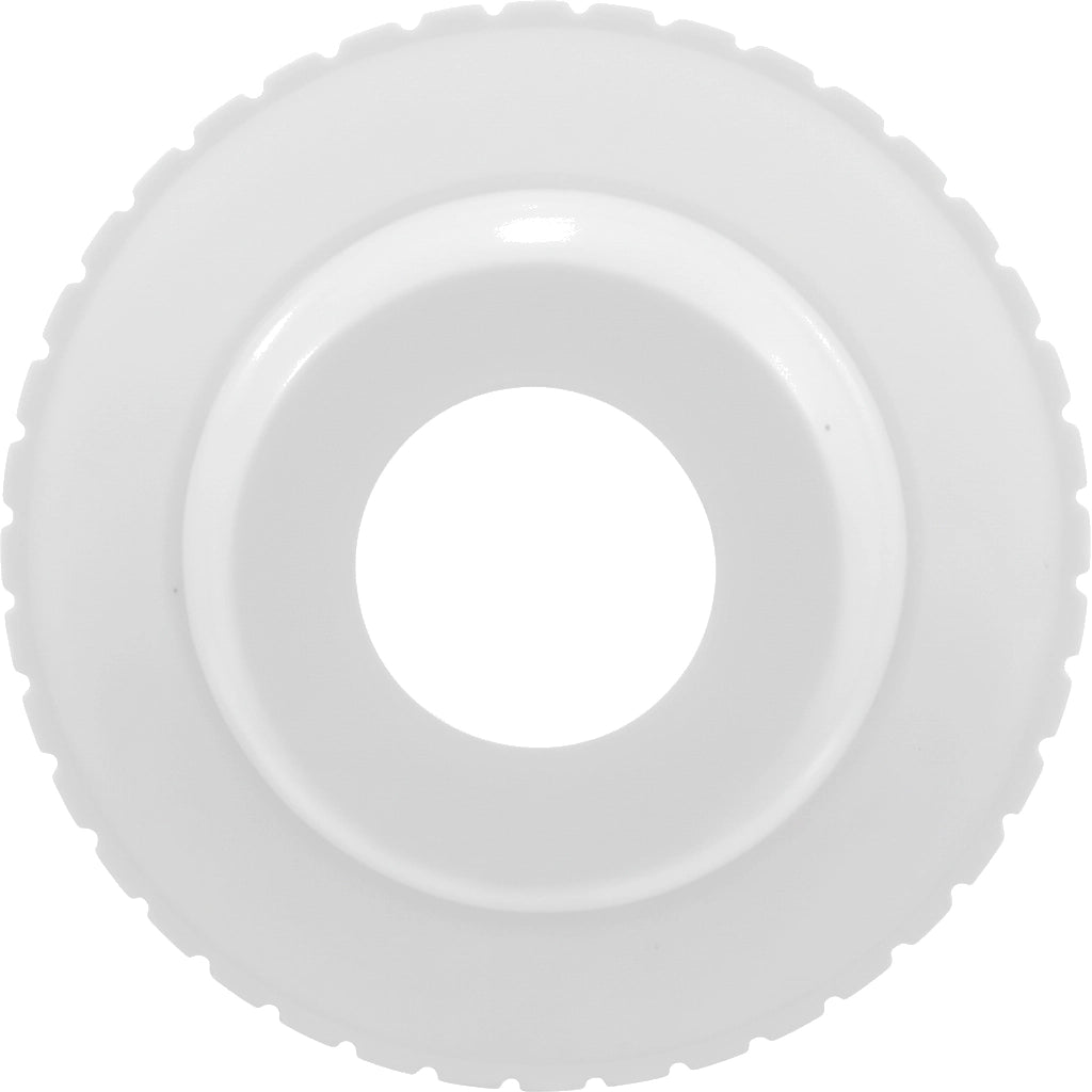 Pentair 3/4" White Threaded Directional Eyeball Inlet | 1-1/2" MIP | 540021Z