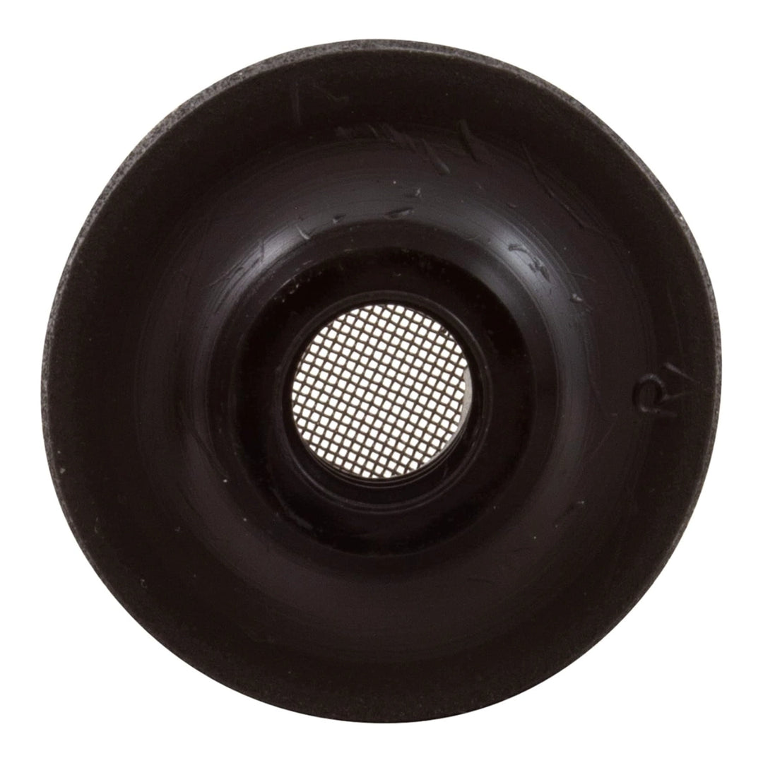 Pentair Air Relief Strainer 3/8" | Triton II &amp; Triton C-3 Sand Filters | 150035Z