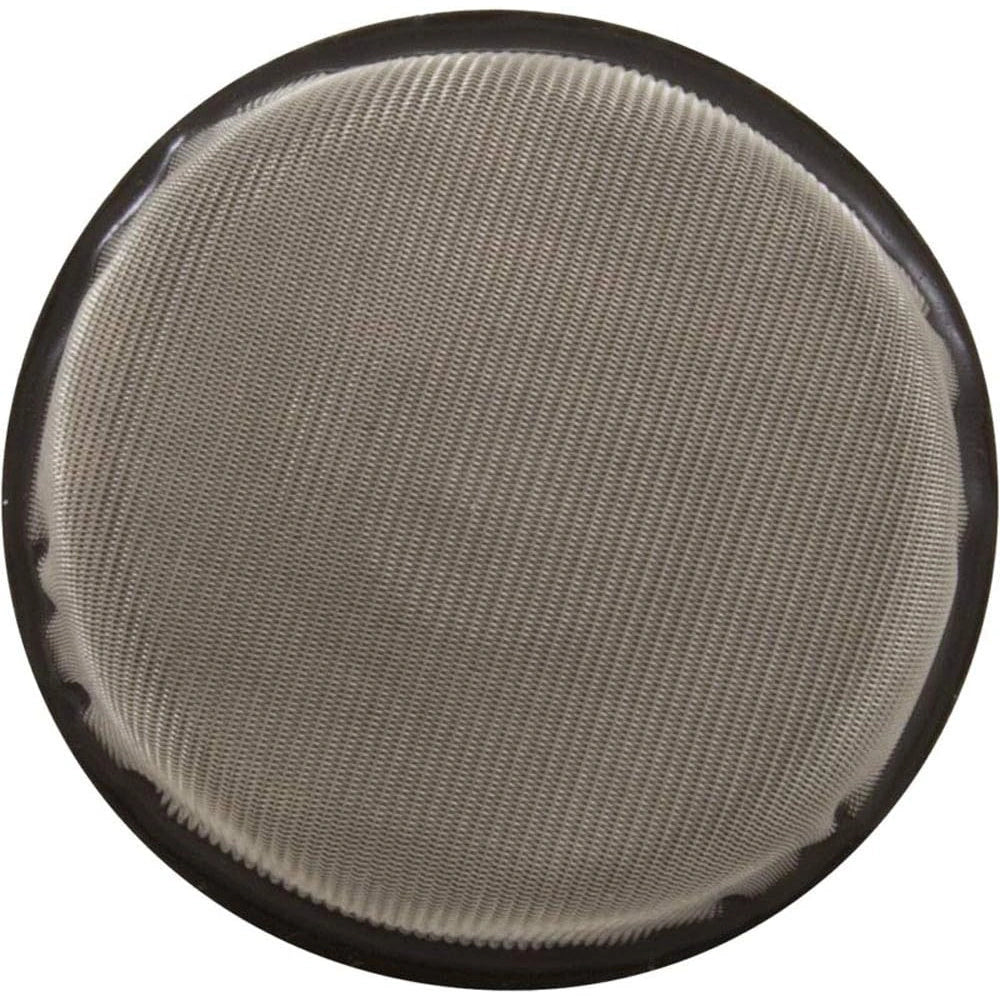 circular metal mesh strainer with fine grid pattern and dark outer rim viewed from above