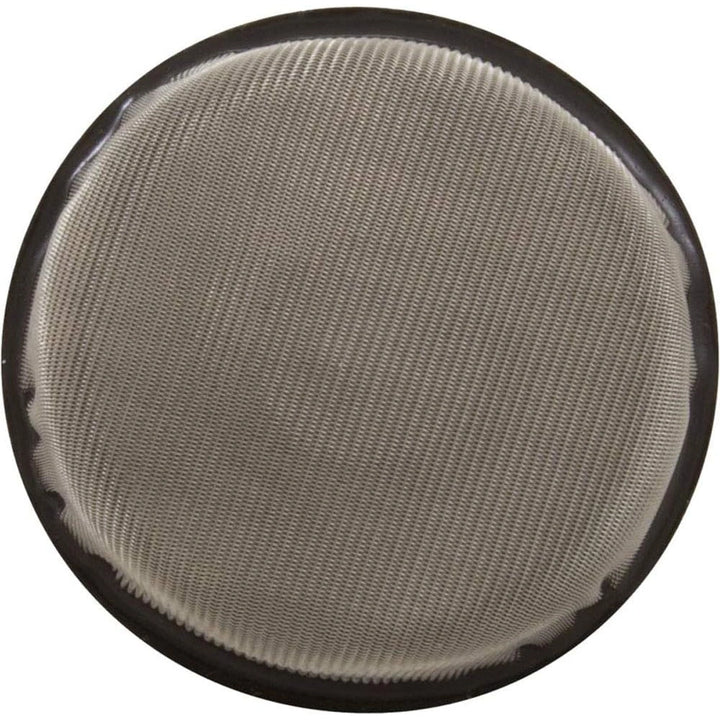circular metal mesh strainer with fine grid pattern and dark outer rim viewed from above
