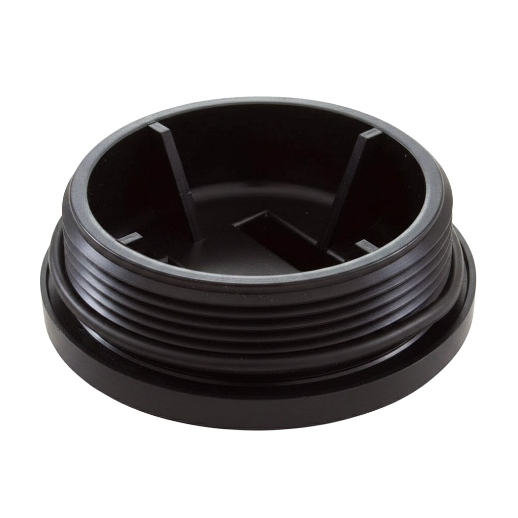 Pentair All Purpose Plug with O-Ring 2" | 195830