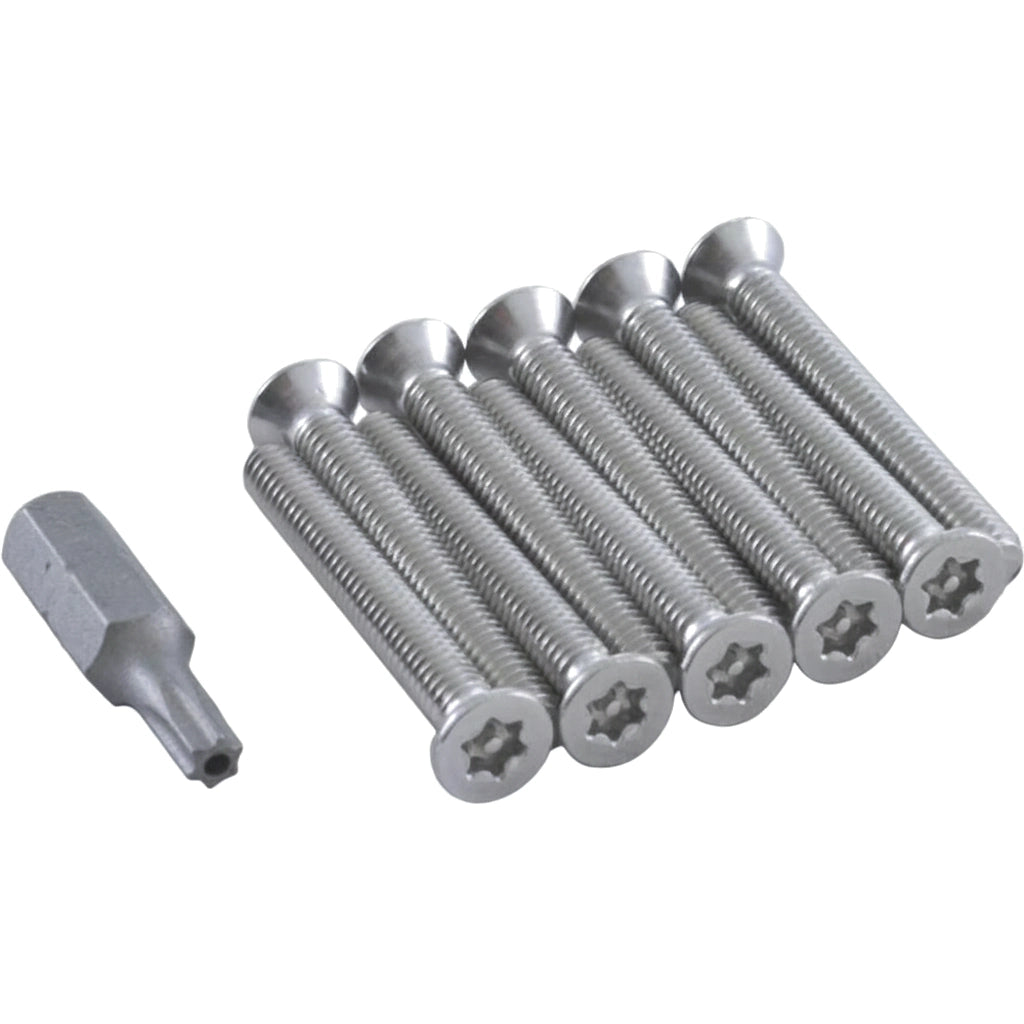 Pentair AVSC Stainless Steel 316 Screws Set of 10 with Tool | 295314