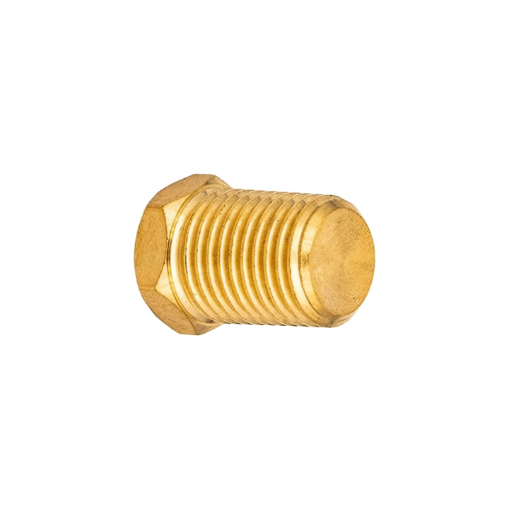 Pentair Brass Hole Plug 1/4" | P0026800