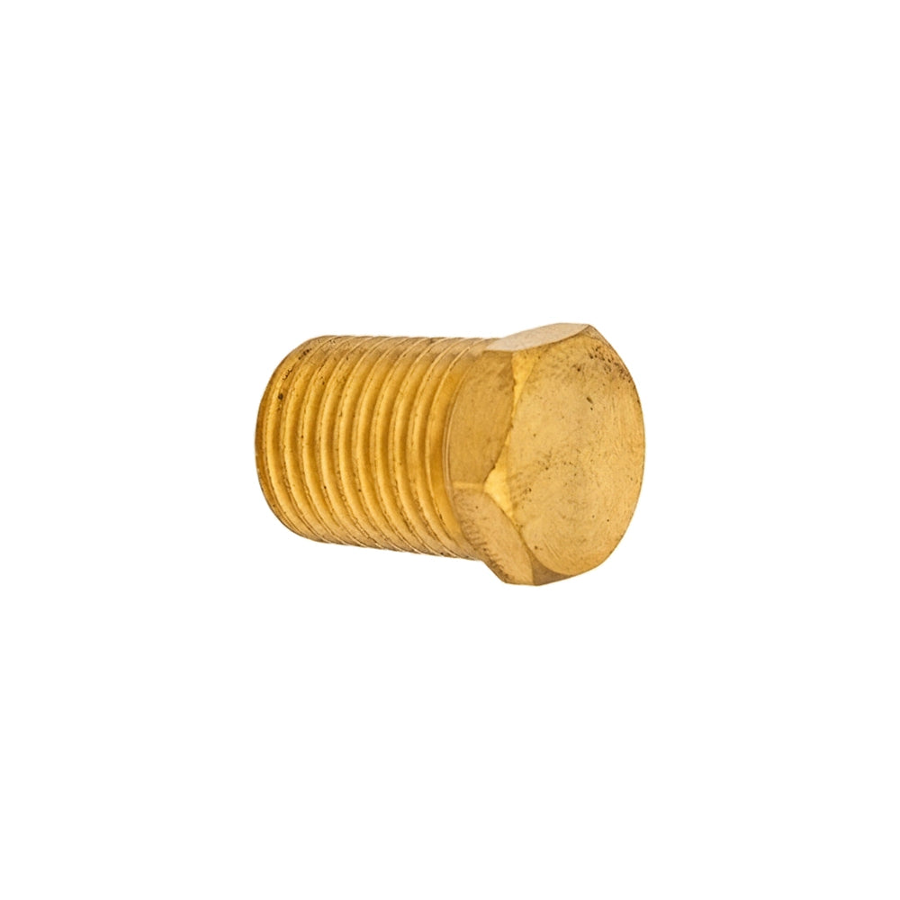 Pentair Brass Hole Plug 1/4" | P0026800