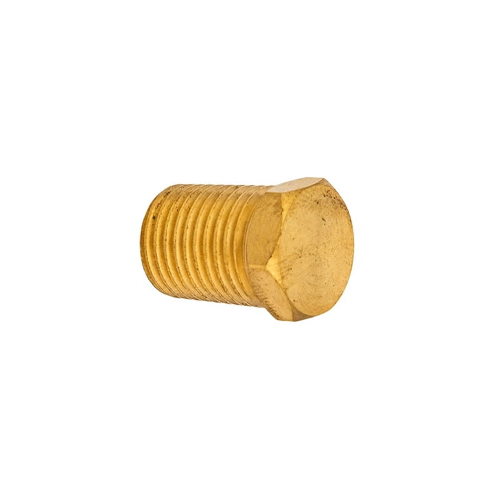 Pentair Brass Hole Plug 1/4" | P0026800