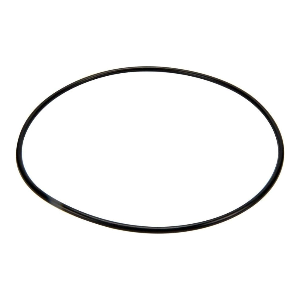 Pentair Cover O-Ring | ABS Multiport Valves Side Mount / Sta-Rite Valves | 14971-SM20E7