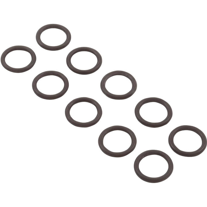 Ten small dark rubber O-rings arranged in two staggered rows, part of Pentair&