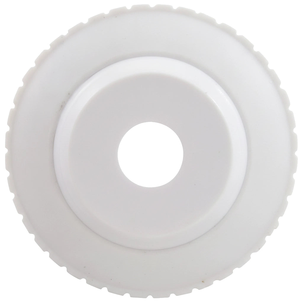 Pentair Directional Eyeball Inlet, 1/2 in. Opening, White, 1-1/2 in. MPT | 540014