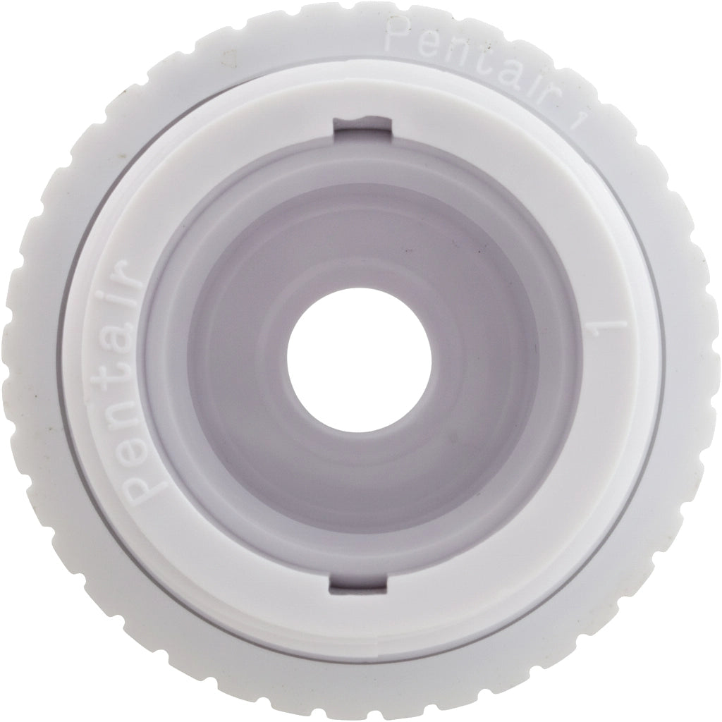 Pentair Directional Eyeball Inlet, 1/2 in. Opening, White, 1-1/2 in. MPT | 540014