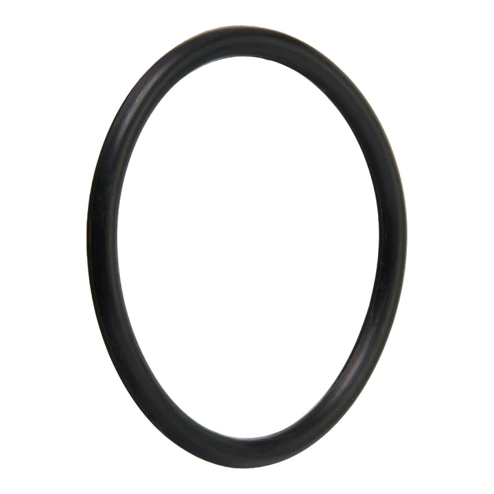Pentair Drain Plug O-Ring | Clean &amp; Clear Plus, FNS Plus, Quad D.E. Filters | 191474Z