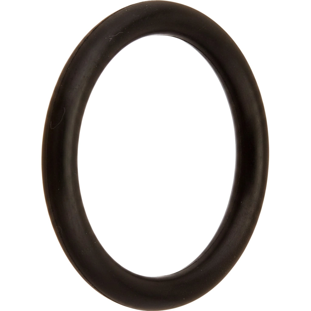 Pentair Drain Plug O-Ring for Clean &amp; Clear, Predator &amp; FNS Plus Filters | 51005000Z