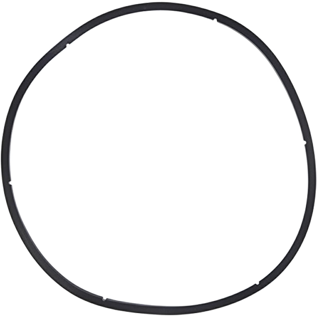 Pentair EQ Series Strainer Lid Gasket 1" | Commercial Pump Hair and Lint Strainer | 350166Z