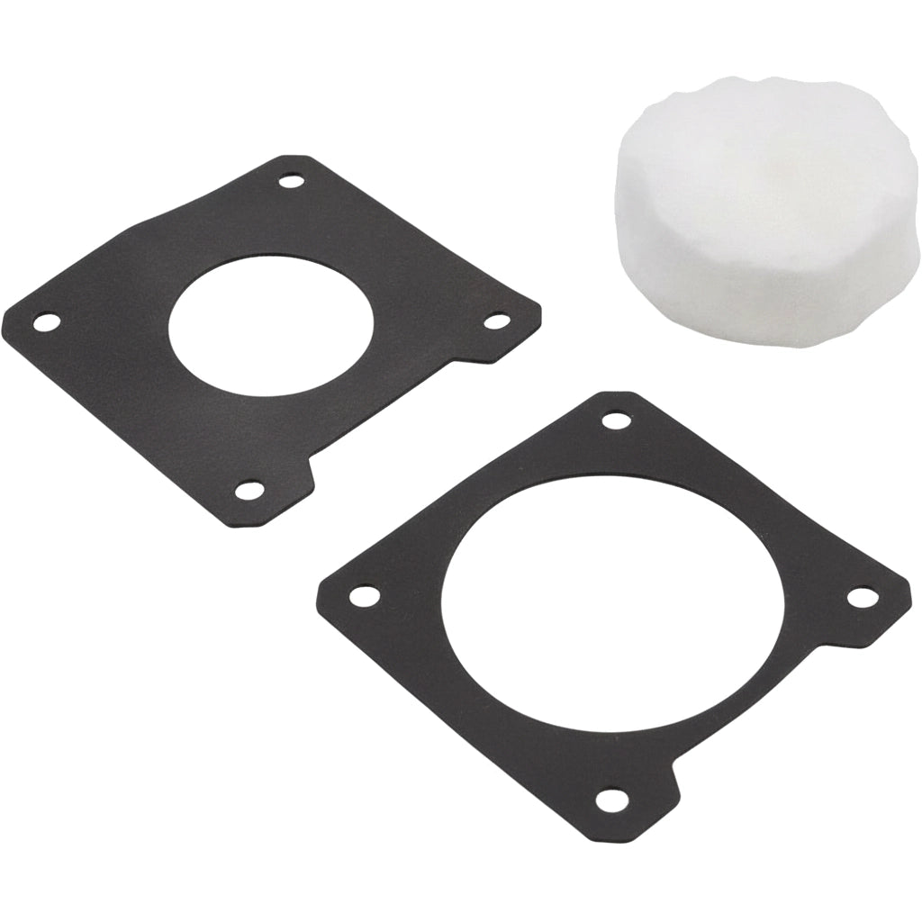 Pentair Flameholder Kit Model 250 460746 with two black gaskets and a white foam insert