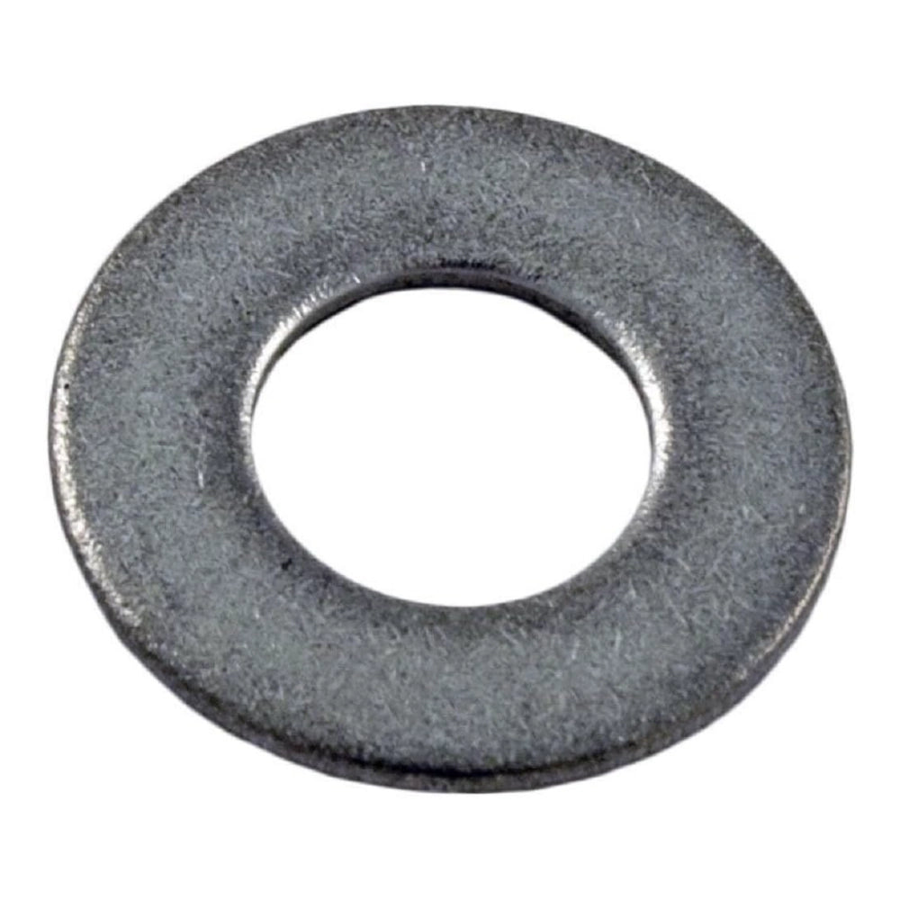 Pentair Flat Washer 5/16 in., round stainless steel washer with brushed metal finish, U43-41SSZ