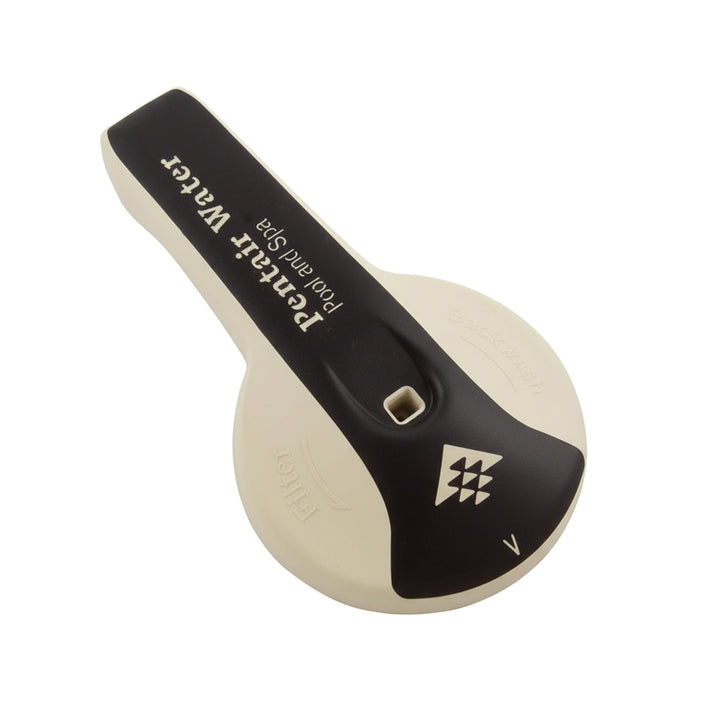 Pentair Handle Replacement Valve for FullFloXF | 270187Z