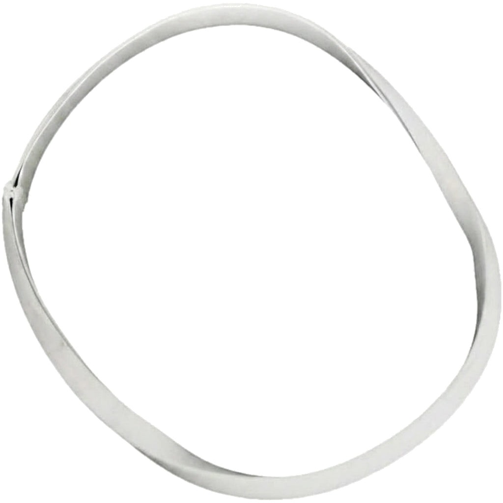Pentair Gasket, Large | Vac-Mate Vacuum/Skimmer | R36002