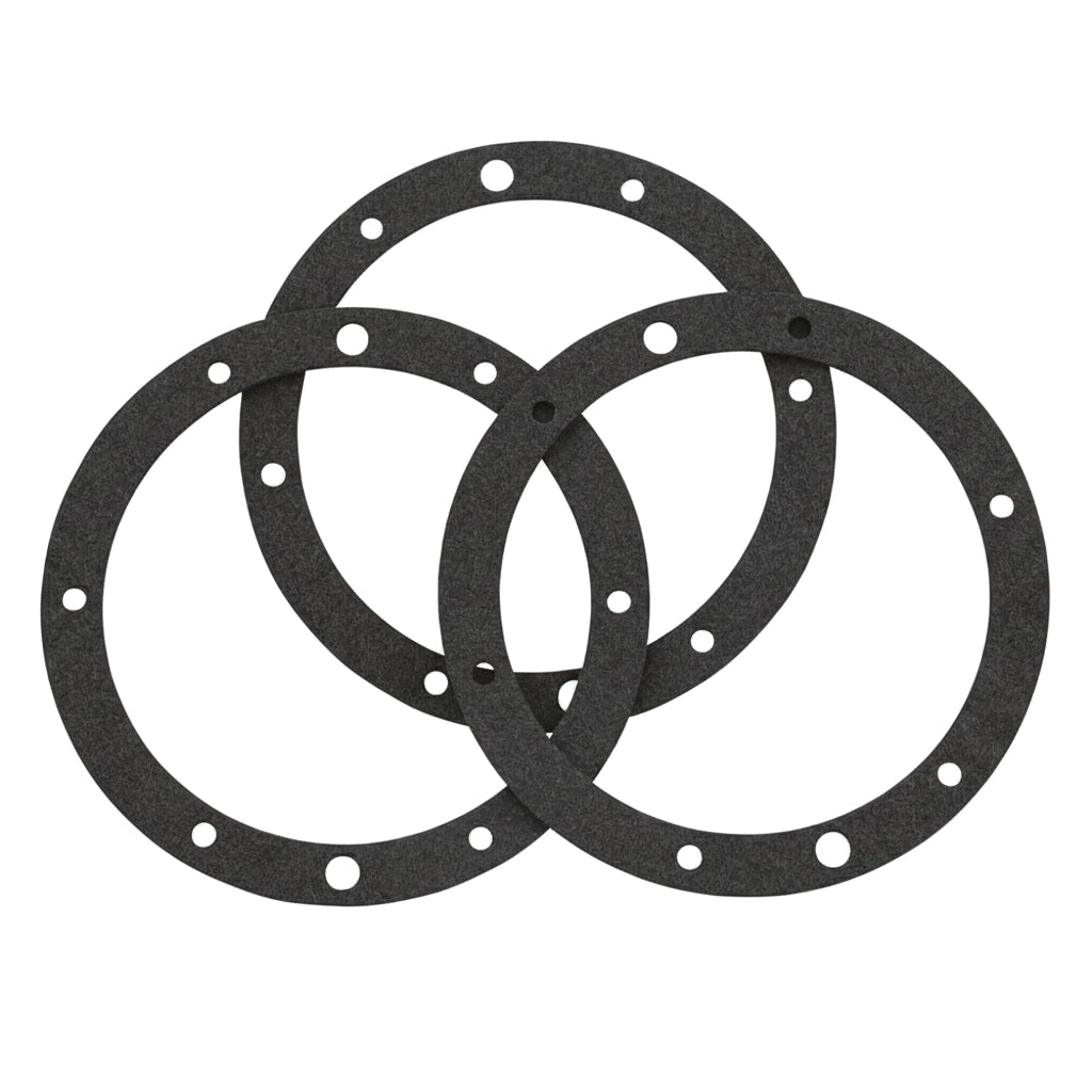 Pentair Gasket Set, Small Niche, without Double Wall Gasket | Small Stainless Steel Niches | 79204603