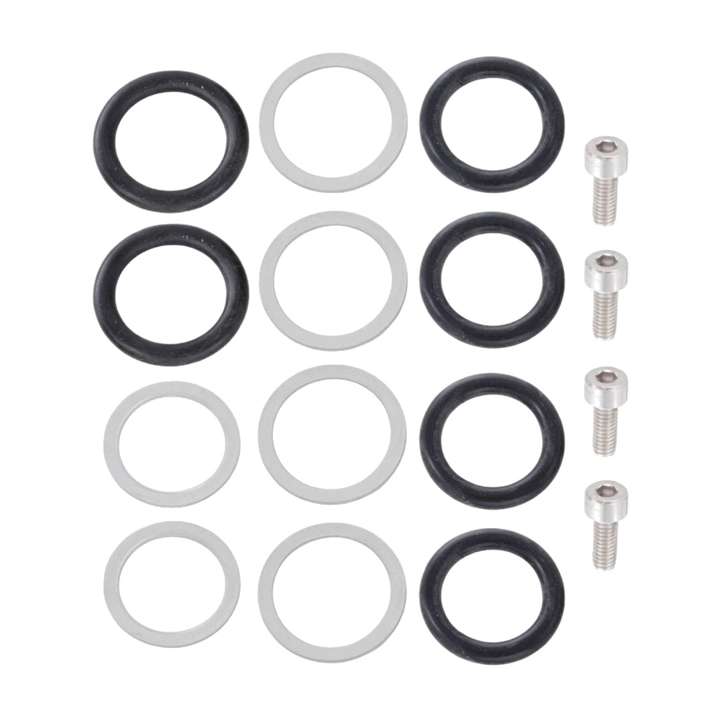 Pentair 461103 inlet fitting kit with black O-rings, flat washers, and hex screws arranged in rows.