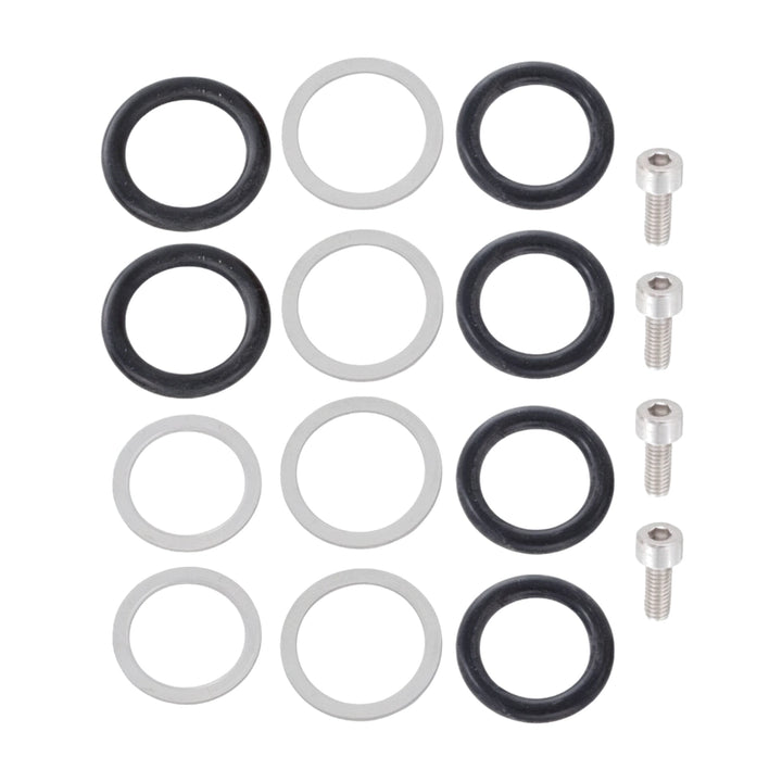 Pentair 461103 inlet fitting kit with black O-rings, flat washers, and hex screws arranged in rows.