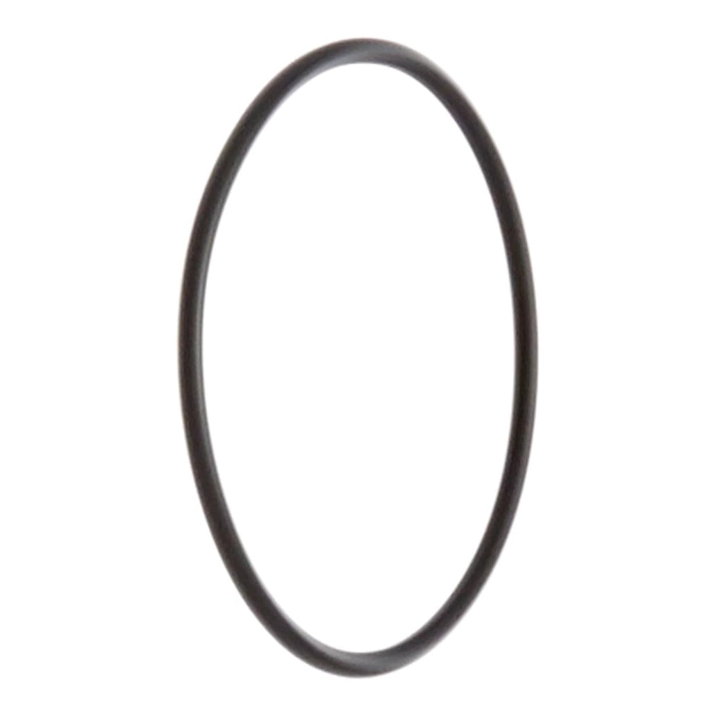 Pentair Manifold O-Ring for FullFloXF Filters &amp; Bermuda Skimmers | 192323Z