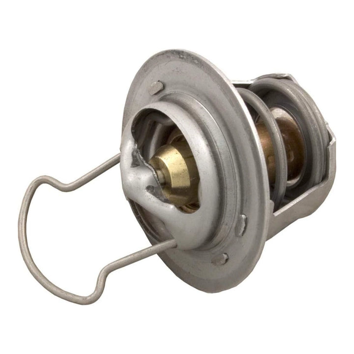 Pentair Thermal Regulator with Spring Clip | MasterTemp &amp; Max-E-Therm Heaters | 38000-0007S