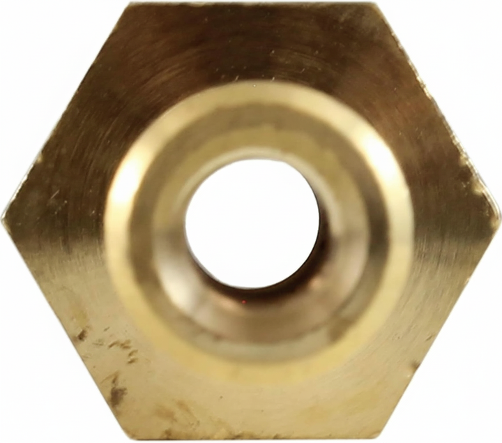 Pentair Nut for Band Assembly for FSH, FNS, and Quad Filters | 194997Z