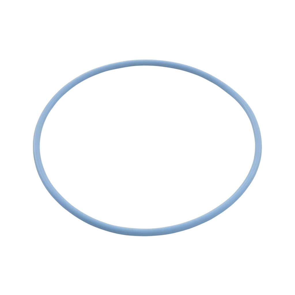 Pentair O-Ring 