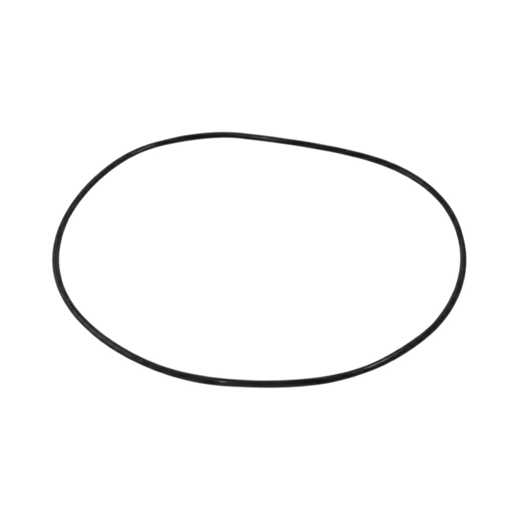 Pentair O-Ring for Container Lid | IntelliChem / IntellipH | 521507