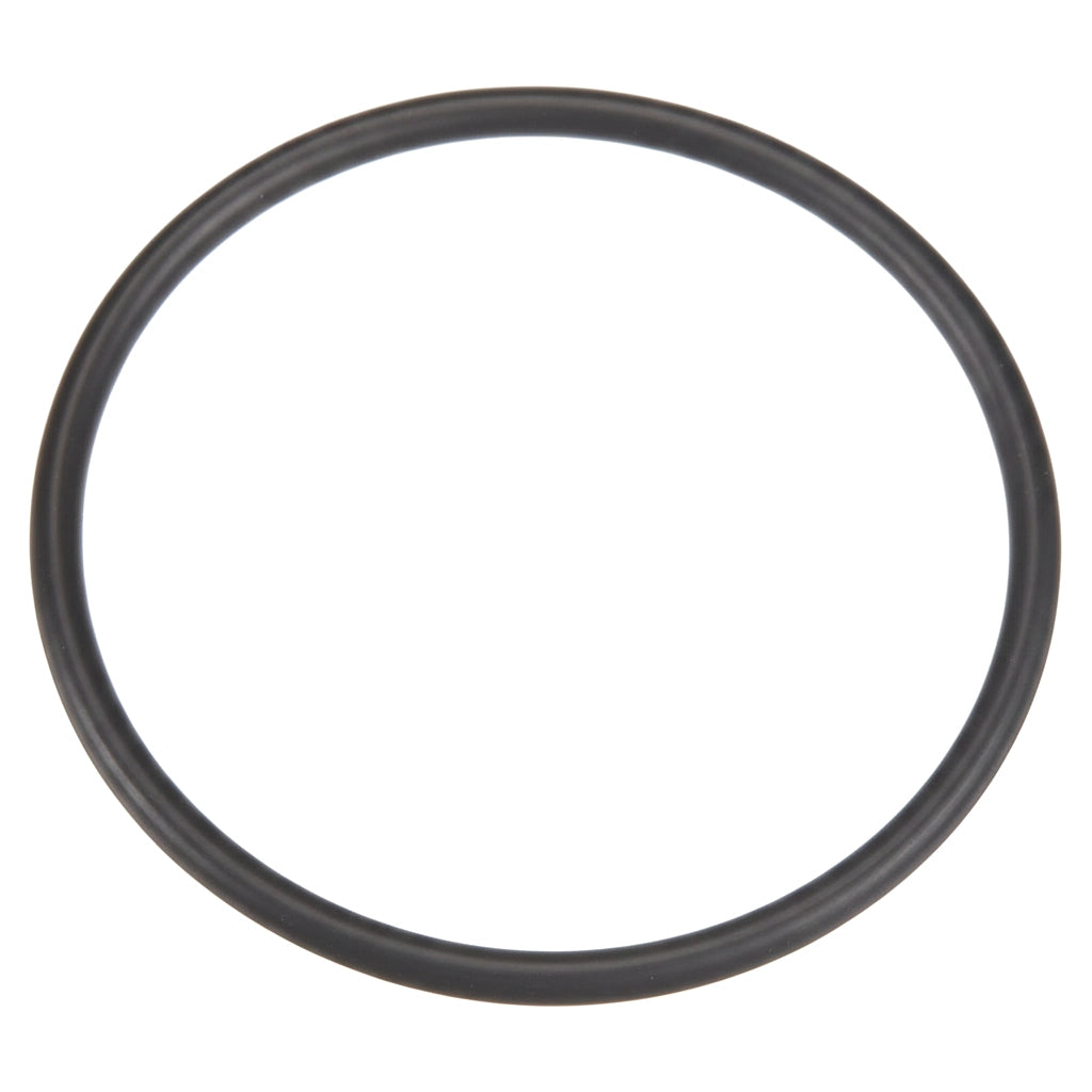 Pentair O-Ring for System 3 Filters | 35505-1425Z
