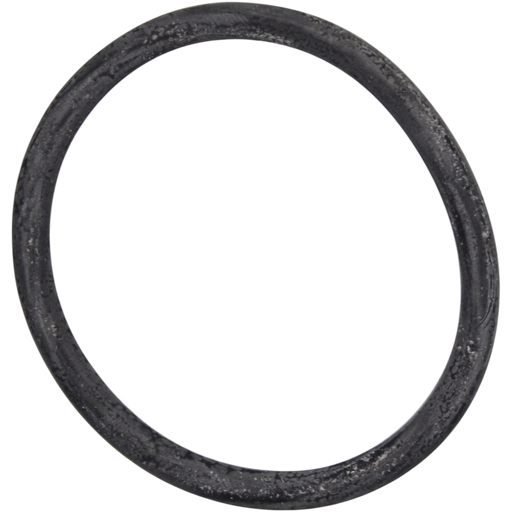 Pentair O-Ring for System 3 &amp; PLM Series Filters | 35505-1424Z