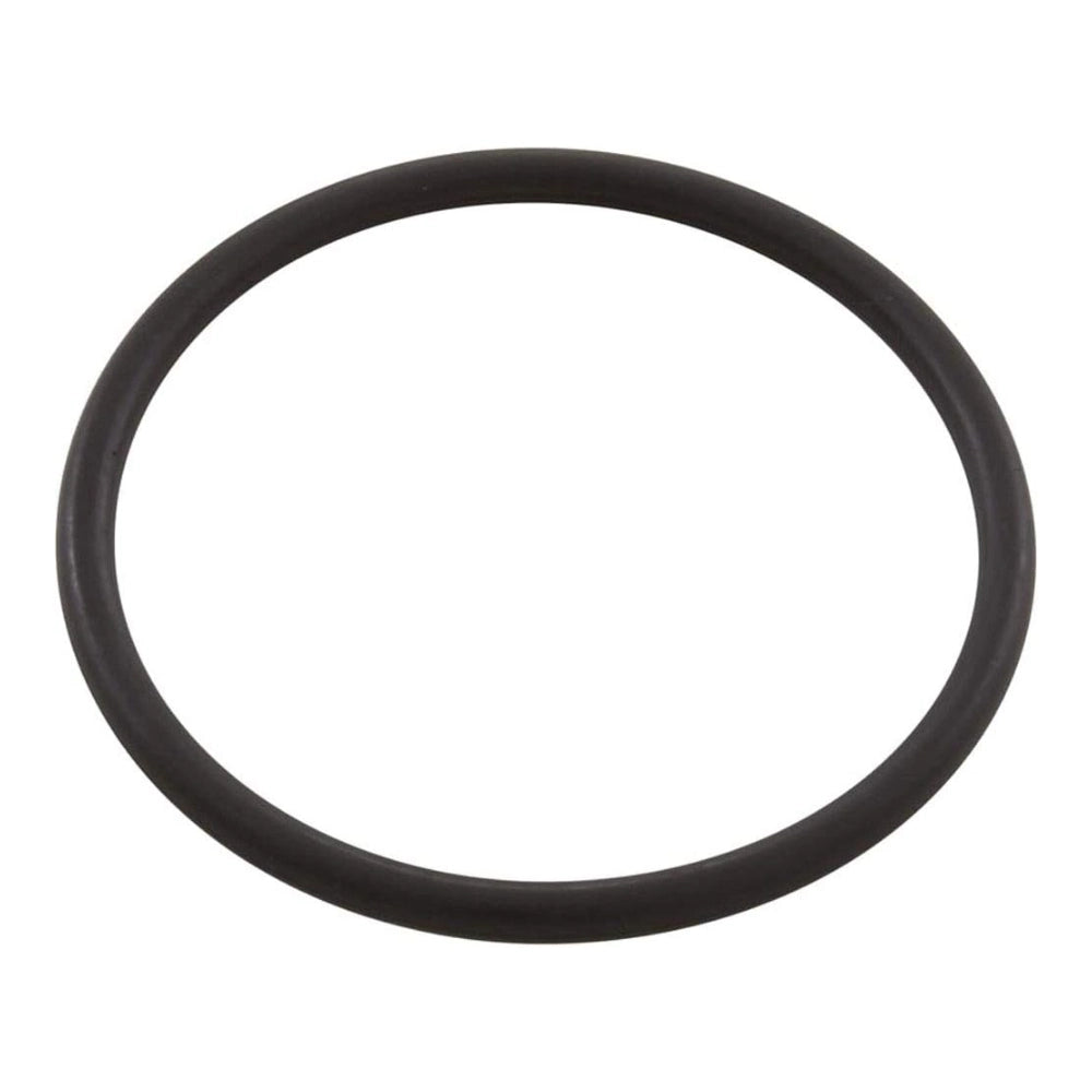 Pentair Bottom O-Ring | In-Line Automatic Feeder 320 | R172319Z