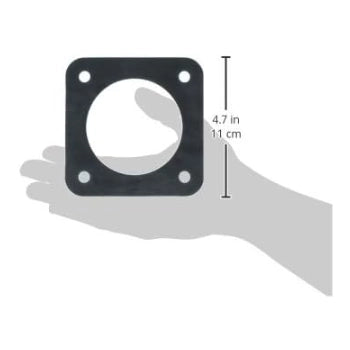 Pentair Replacement Suction Gasket | C20-123-50