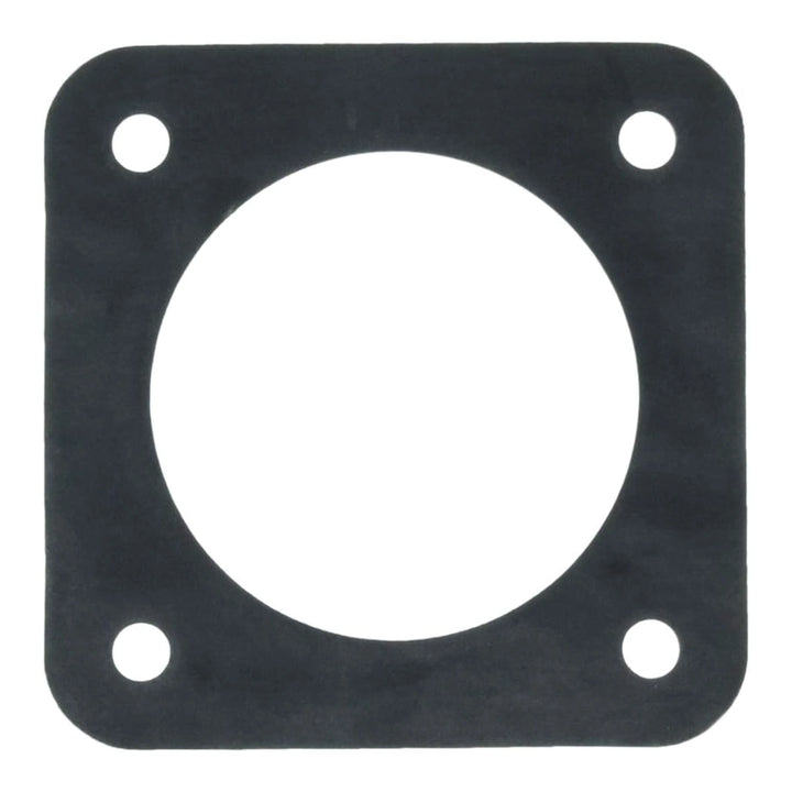 Pentair Replacement Suction Gasket | C20-123-50