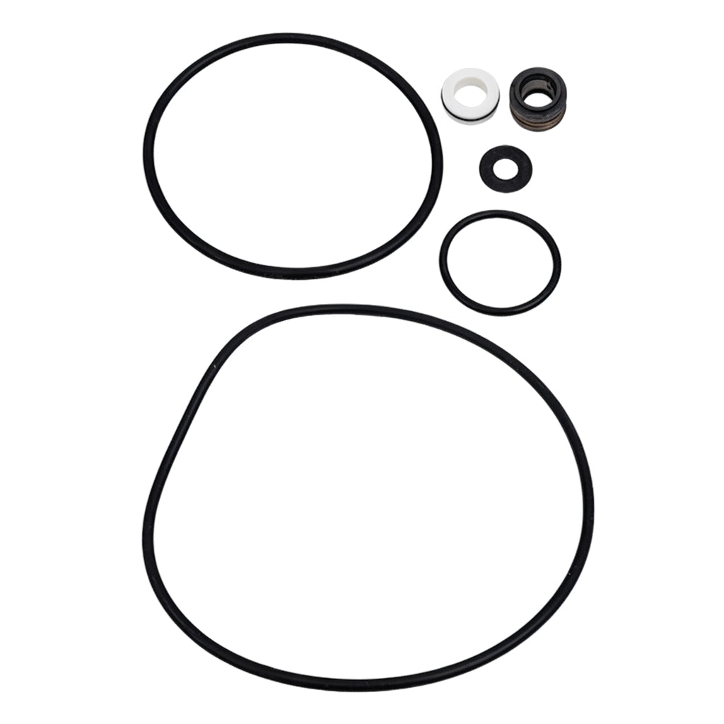 Pentair PP4000 seal/gasket kit: two large O-rings, small O-rings, washers, and shaft seal components
