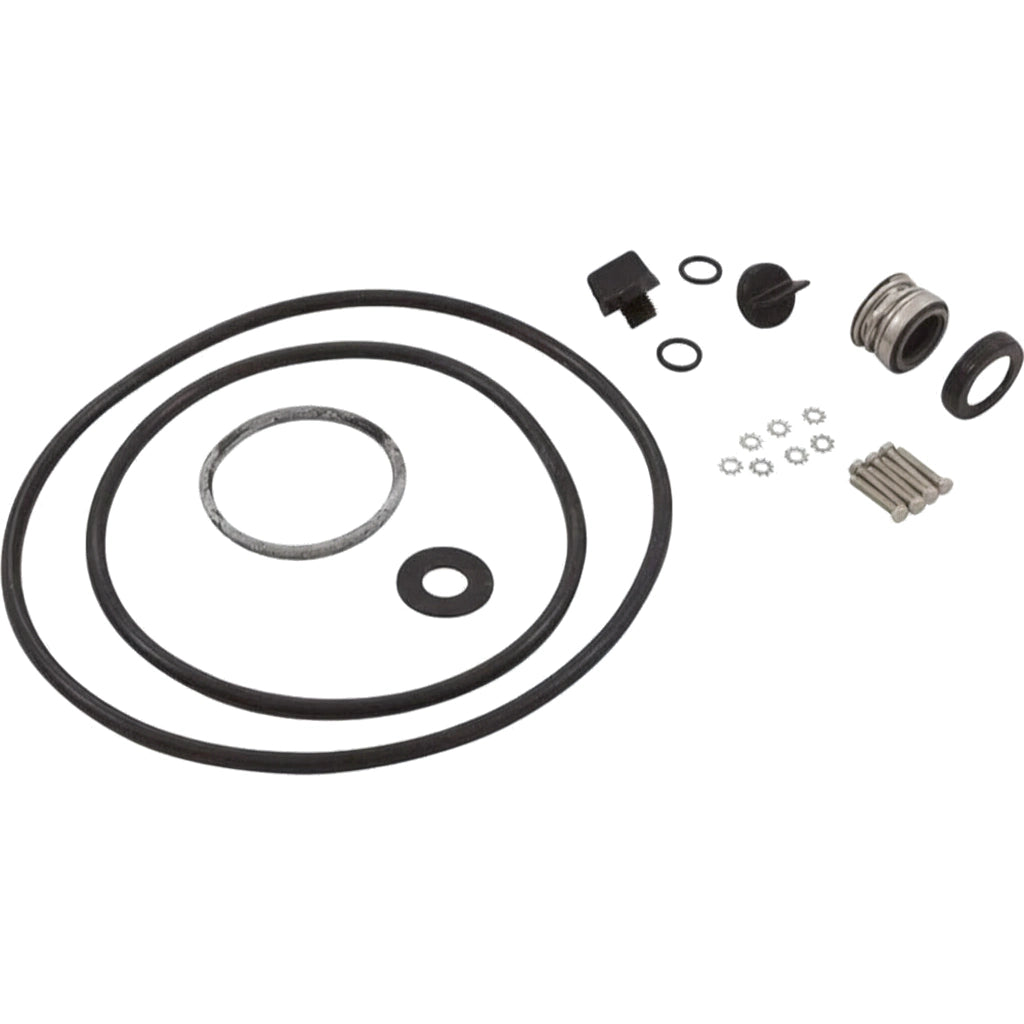 Pentair PP3011 seal/gasket kit with O-rings, shaft seal, washers, screws, and small fittings laid out.