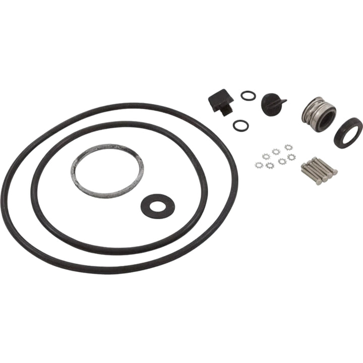 Pentair PP3011 seal/gasket kit with O-rings, shaft seal, washers, screws, and small fittings laid out.