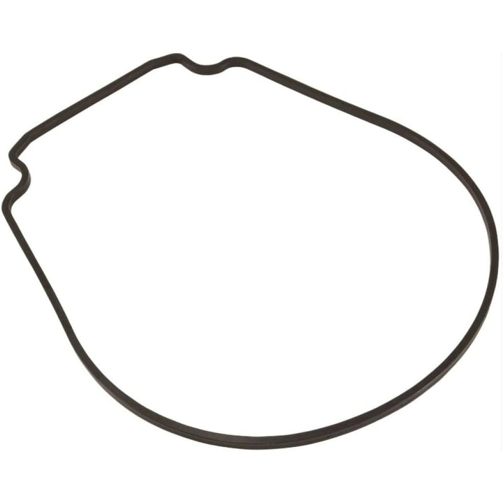 Pentair Seal Plate Gasket | 357102Z