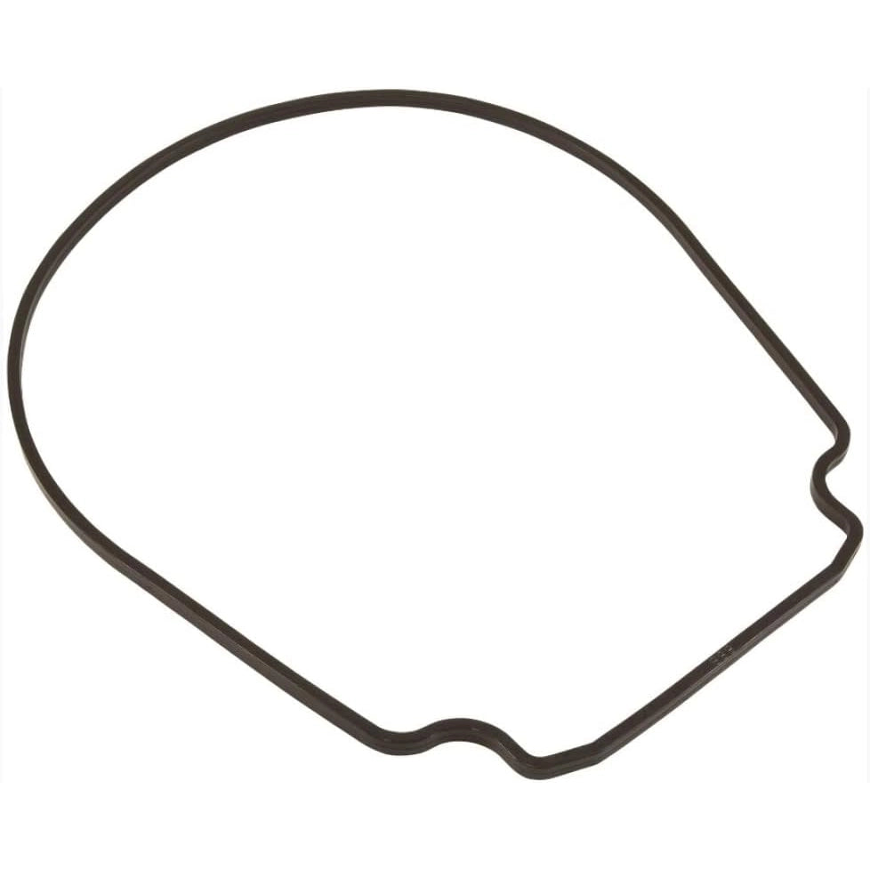 Pentair Seal Plate Gasket | 357102Z